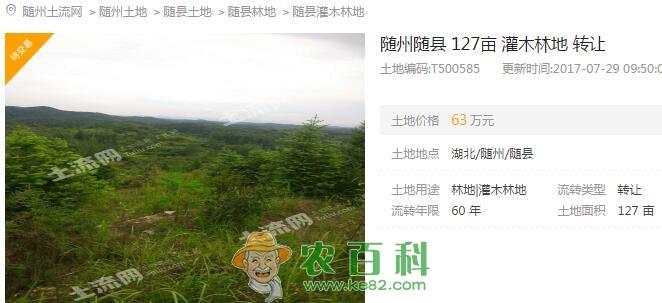 随州市适合做什么生意?农村有二亩土地可以干什么项目?