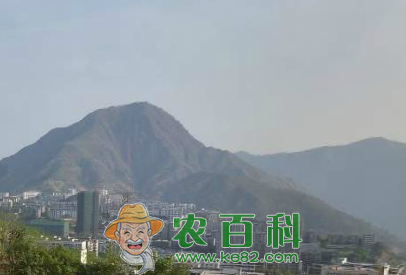 浙江特色小镇是如何构建的？