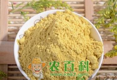 松花粉价格多少钱一斤?市场前景怎样