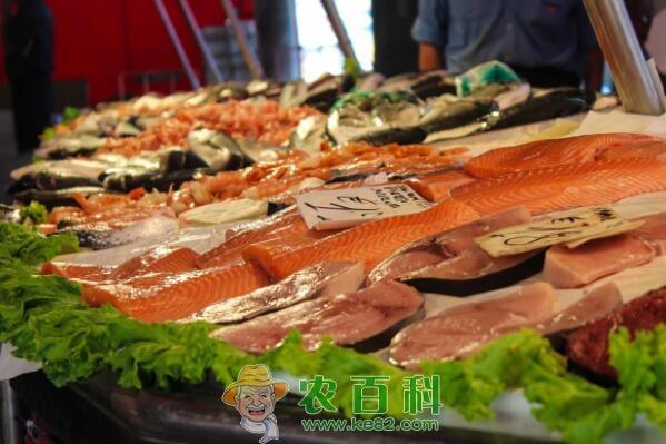 鲑科三文鱼是海鱼吗？吃什么食物？它为啥可以生吃？价格多少钱一斤？