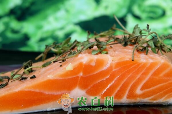 鲑科三文鱼是海鱼吗？吃什么食物？它为啥可以生吃？价格多少钱一斤？