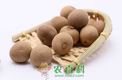 吃龙眼好处多多！孕妇可以吃吗？和桂圆有哪些区别？吃多了上火吗？