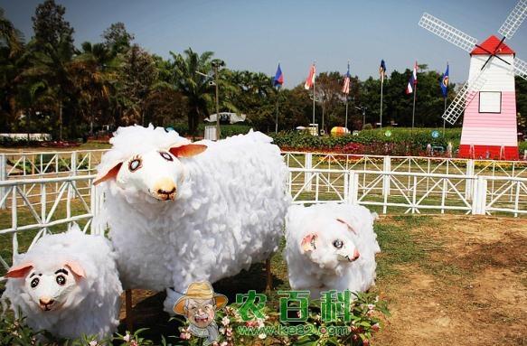 适合农村小本创业项目有哪些?不妨试试这五个项目,让你大有“钱”途!