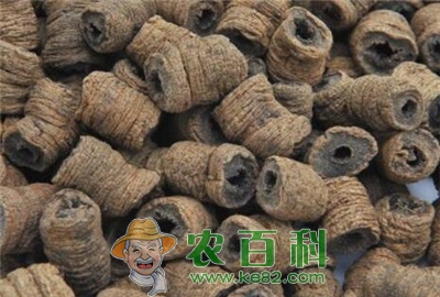 巴戟与巴戟天一样吗?巴戟天鲜货价格多少钱一斤?