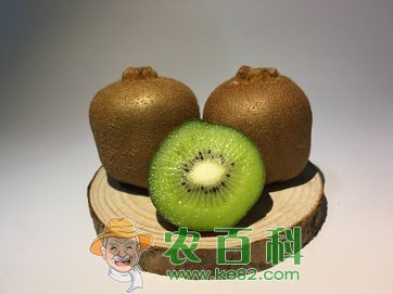 猕猴桃吃多了会怎么样？一天最多吃几个？孕妇可以吃吗？