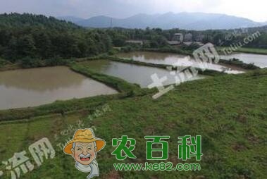 农村鱼塘养殖怎样做好防渗、防寒和施肥工作？