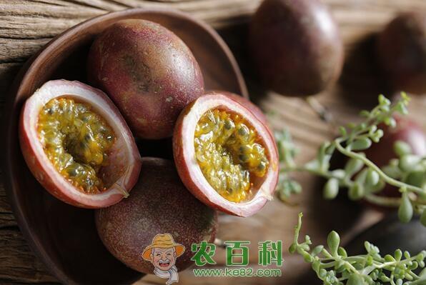 百香果籽可以吃吗？百香果的籽要嚼碎吃吗？百香果该怎么吃呢？