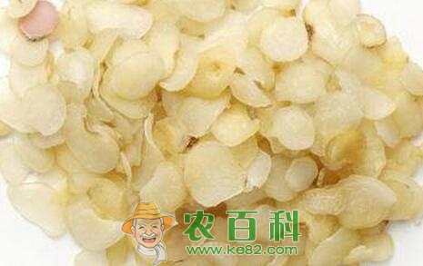 注意啦！四月份种植这些中药材有很大几率能够发财！