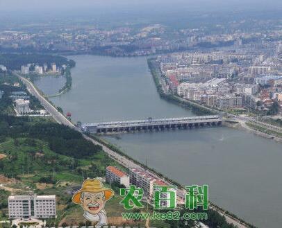 随州市适合做什么生意?农村有二亩土地可以干什么项目?