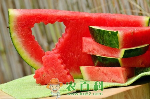 “瓜中之王”西瓜施肥用什么肥料好?各个生长期该怎么施肥?一亩地需要多少肥料?