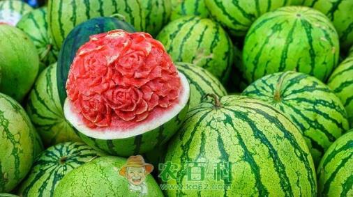 “瓜中之王”西瓜施肥用什么肥料好?各个生长期该怎么施肥?一亩地需要多少肥料?