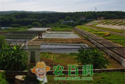 重庆秀山:创新机制推进农田水利建设取得显著成效