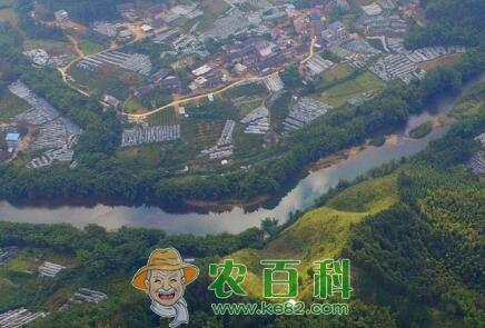 刘均刚委员：美丽乡村建设让天更蓝水更清！