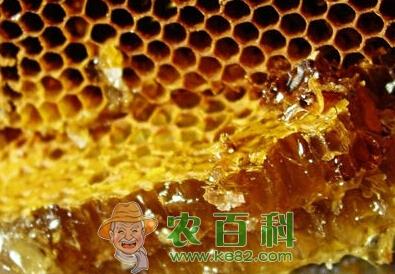 蜂产品的市场前景怎样？赚钱吗？
