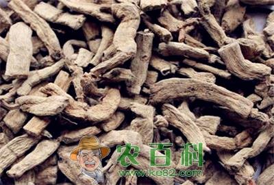 巴戟与巴戟天一样吗?巴戟天鲜货价格多少钱一斤?