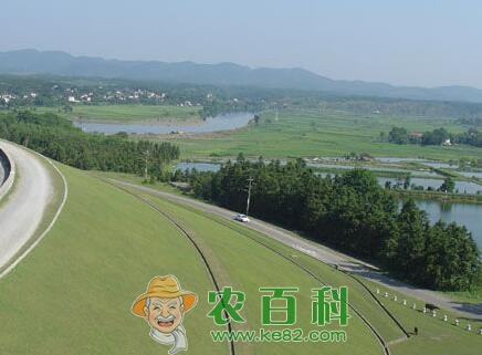 在十堰市做什么生意好?老家有土地能干什么好项目?