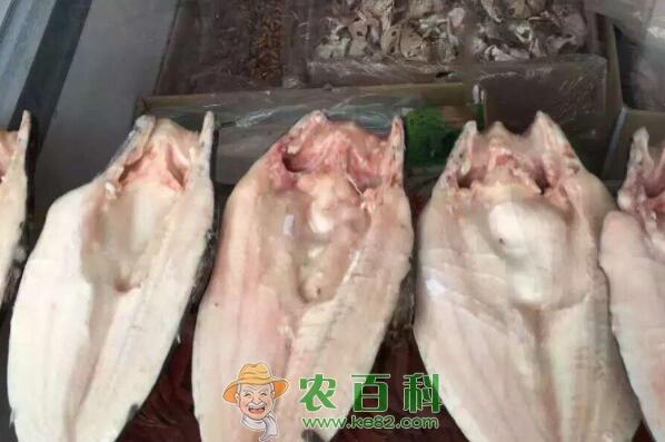 无鳞鱼湄公鱼是海鱼吗？价格通常多少钱一斤？刺多吗？怎么做好吃？