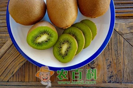 猕猴桃吃多了会怎么样？一天最多吃几个？孕妇可以吃吗？