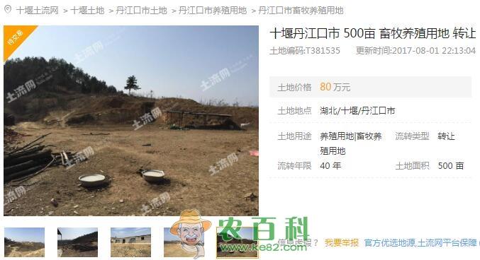 在十堰市做什么生意好?老家有土地能干什么好项目?
