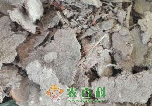 鸡粪有机肥市场价格多少钱一吨?制作方法有哪些?