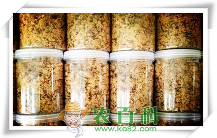 面包上面的肉松是用什么做的?是猪肉吗?可以放心吃吗?