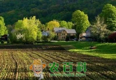 浙江：探寻中国美丽乡村的“发展密码”