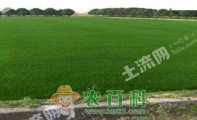 浙江湖州市安吉县4月召开第一届全国休闲农业和乡村旅游大会