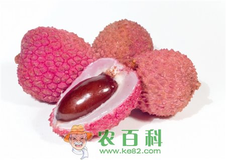 荔枝有哪些功效和作用？孕妇也可以吃吗？