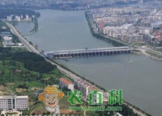 随州市适合做什么生