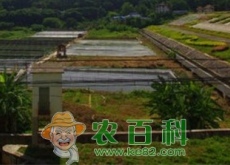 重庆秀山（创新机制推进农田水利建设取得显著成效）