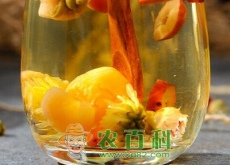 “养生茶”菊花枸杞茶的功效与作用有哪些（有副作用吗）
