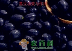 能治白发的黑豆8大功效与作用你都清楚吗（怎么吃最补肾）