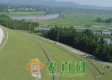 在十堰市做什么生意好？