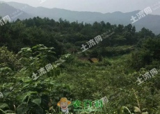 娄底市做什么生意赚钱？