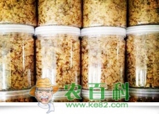 面包上面的肉松是用什么做的（可以放心吃吗）