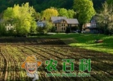 浙江（探寻中国美丽乡村的“发展密码”）