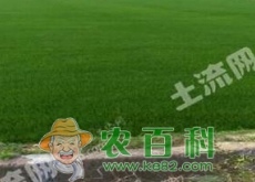 浙江湖州市安吉县4