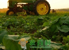 武汉出台新政策鼓励规范工商资本投资农业农村 武汉出台新政策鼓励规范工商资本投资农业农村