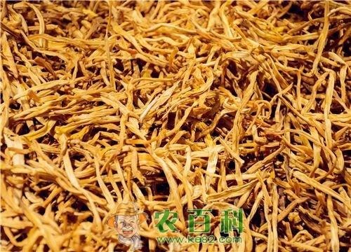 黄花菜什么时间种植最好？附种植方法介绍！