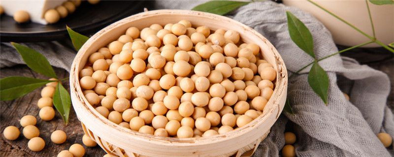 高产大豆栽培技术
