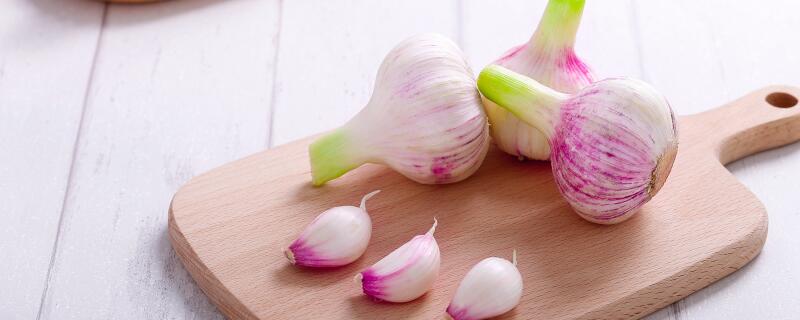 用来种植的大蒜