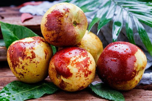 冬枣多少钱一斤？