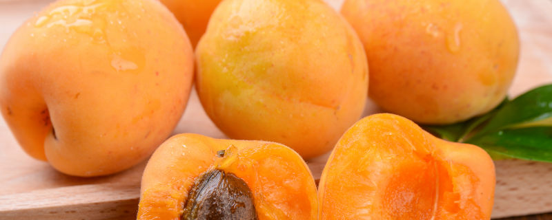 水果杏子