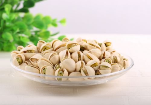 开心果树种植的注意事项