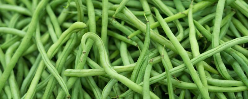 豇豆