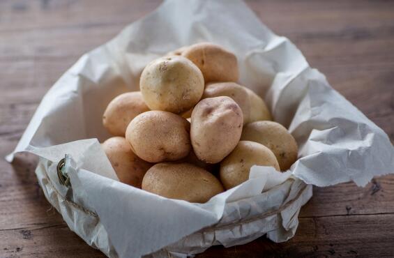 冬季土豆种植技术