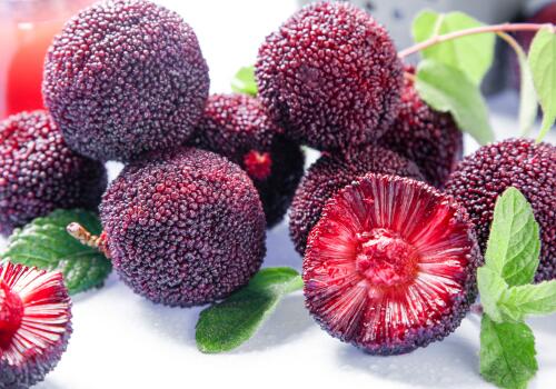 广东杨梅成熟时间