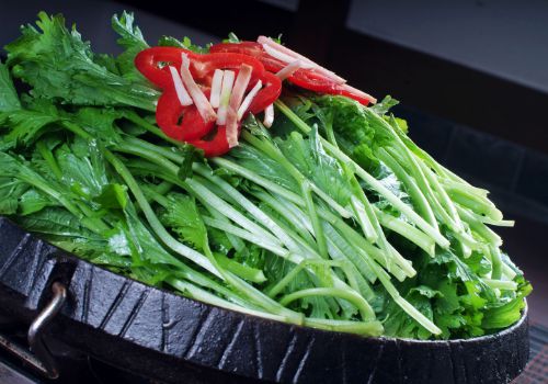 茼蒿的栽培技术