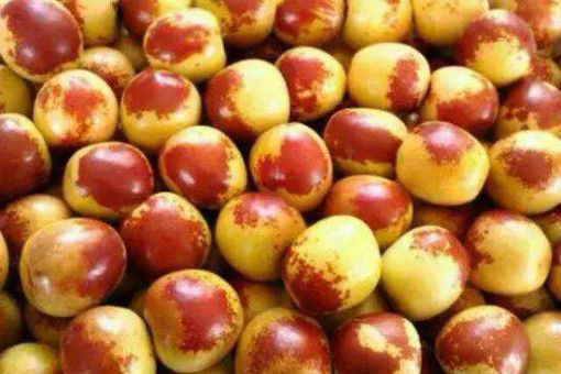 冬枣多少钱一斤？