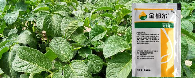 金都尔除草剂使用范围